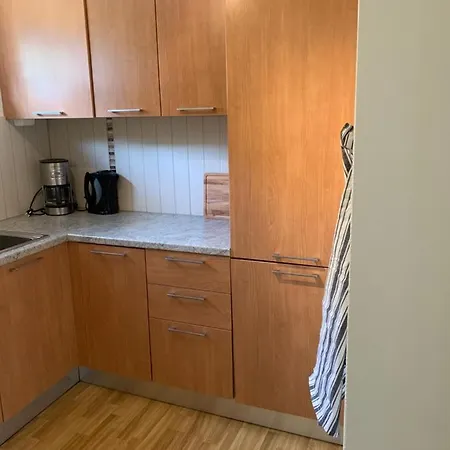 Apartman Hemsedal Ulsak