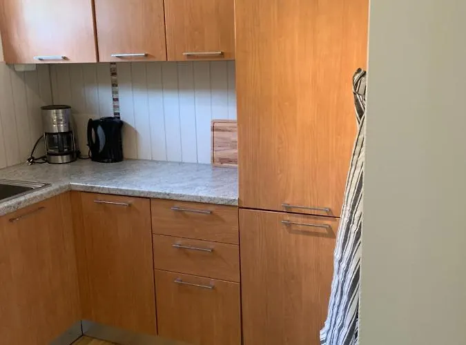 公寓 Hemsedal Ulsak